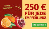 Anzeige für ein Zeitungsabonnement. Text: "250 € für jede Empfehlung!" und Button „Jetzt bestellen“.