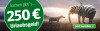 Grafik mit einem Elefanten mit Zebramuster und einem Zebra in einer Landschaft. Text: '250 Euro Urlaubsgeld!'. Button mit der Aufforderung: 'Jetzt bestellen'.
