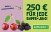 Anzeige für ein Zeitungsabonnement. Text: "250 € für jede Empfehlung!" und Button „Jetzt bestellen“.