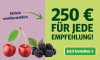 Anzeige für ein Zeitungsabonnement. Text: "250 € für jede Empfehlung!" und Button „Jetzt bestellen“.