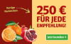 Anzeige für ein Zeitungsabonnement. Text: "200 € für jede Empfehlung!" und Button „Jetzt bestellen“.